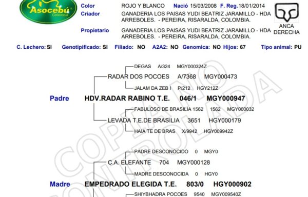76/8  LOS PAISAS ROMANTICA T.E.