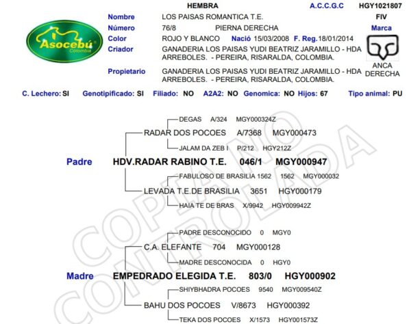 76/8 LOS PAISAS ROMANTICA T.E. screenshot 2025 12 19 135019