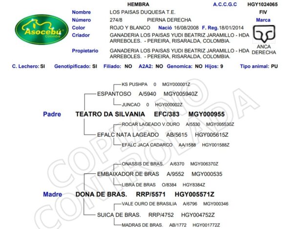 LOS PAISAS DUQUESA T.E. 274/8 screenshot 2025 12 19 144105