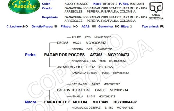 LOS PAISAS EMPRENDEDORA T.E. 588/12