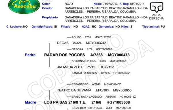 LOS PAISAS PAUSA T.E. 668/13