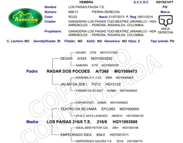 LOS PAISAS PAUSA T.E. 668/13 screenshot 2025 12 19 150018