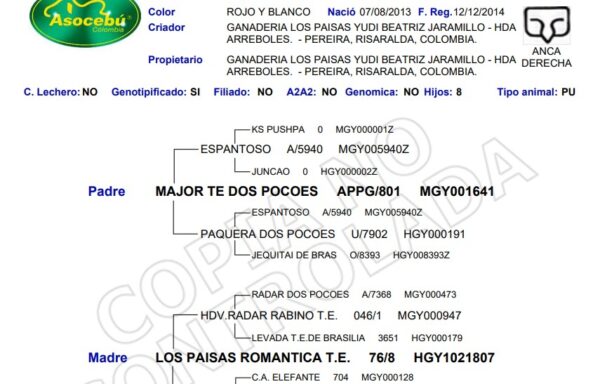 LOS PAISAS MARIPOSA  676/13