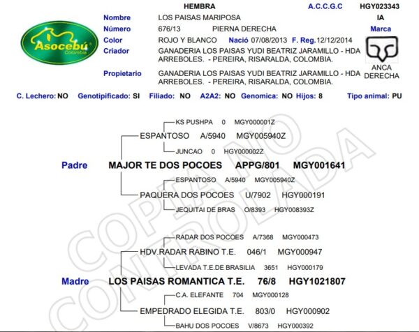 screenshot 2025 12 19 150345