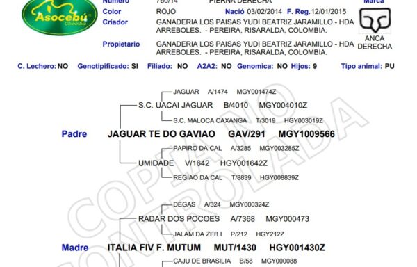 LOS PAISAS JARDINERA T.E. 760/14