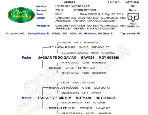 screenshot 2025 12 19 150855