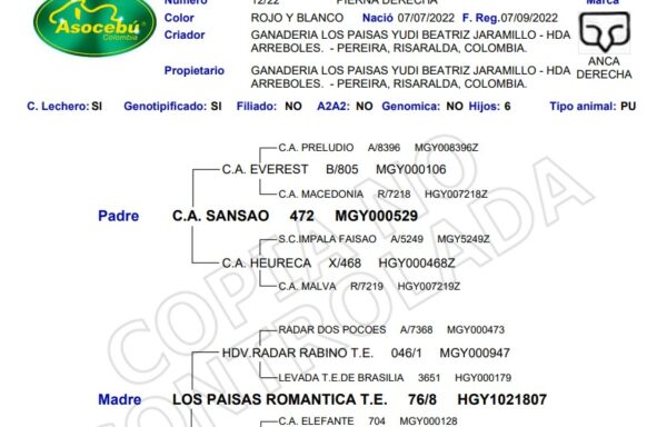 LOS PAISAS SAMRA T.E. 12/22