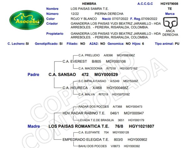 screenshot 2025 12 19 151107