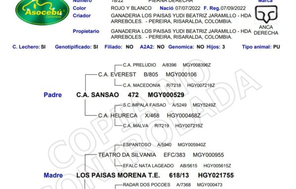 LOS PAISAS SAHAN T.E. 18/22